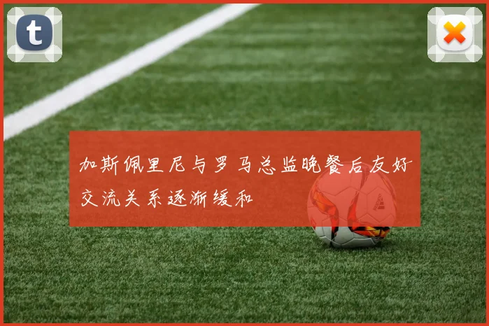 加斯佩里尼与罗马总监晚餐后友好交流关系逐渐缓和