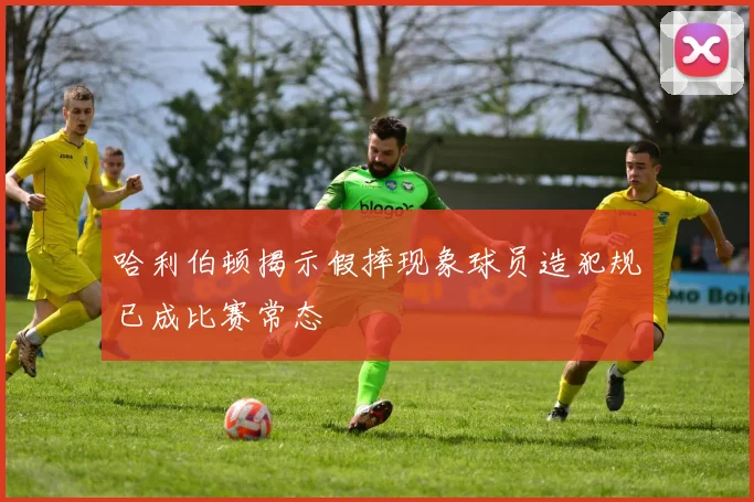 哈利伯顿揭示假摔现象球员造犯规已成比赛常态